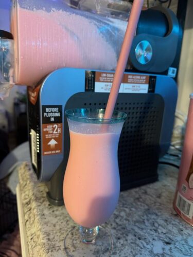 Professional Frozen Drink Maker photo review